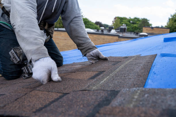 Best Commercial Roofing Services  in Buhler, KS
