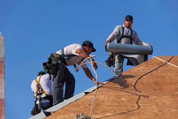 Best Roof Leak Repair  in Buhler, KS