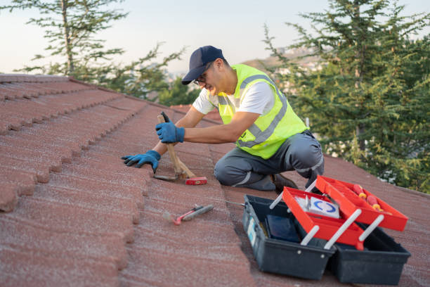 Best Roof Repair Services  in Buhler, KS