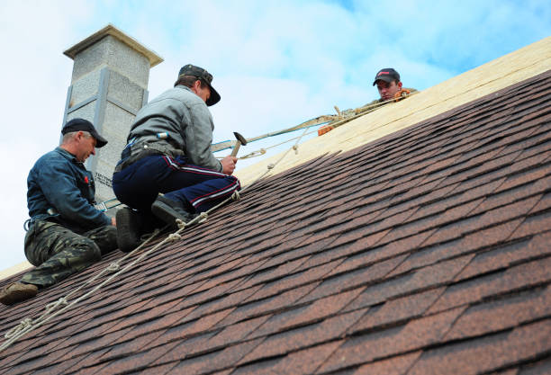 Best Metal Roofing Contractor  in Buhler, KS