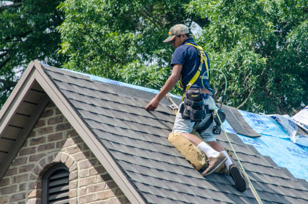 Best Metal Roofing Contractor  in Buhler, KS